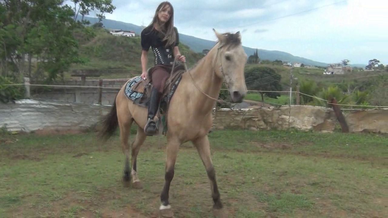 CL8565_Yf_Ye_NewRidingAngel.wmv_random_01.jpg