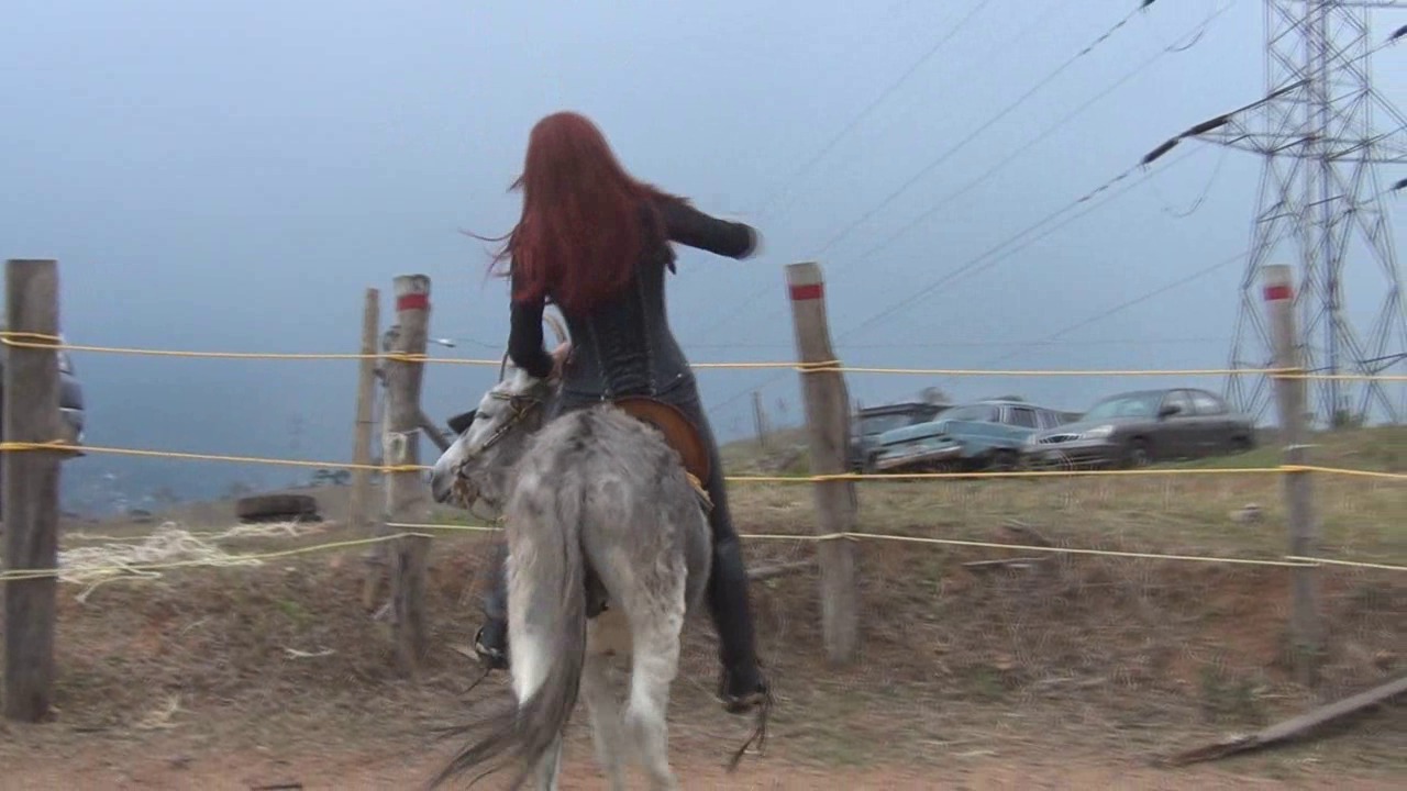 CL8565_Yf_YeBelkisontherebeldonkey.wmv_random_01.jpg