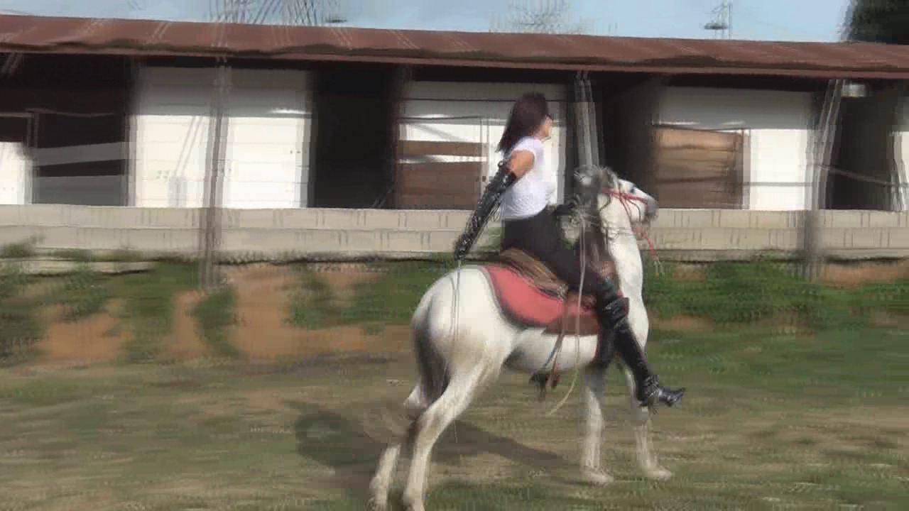 Helpless Pony.wmv_random_01.jpg