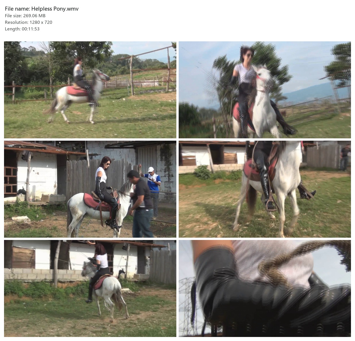 Helpless Pony.wmv_2x3.jpg