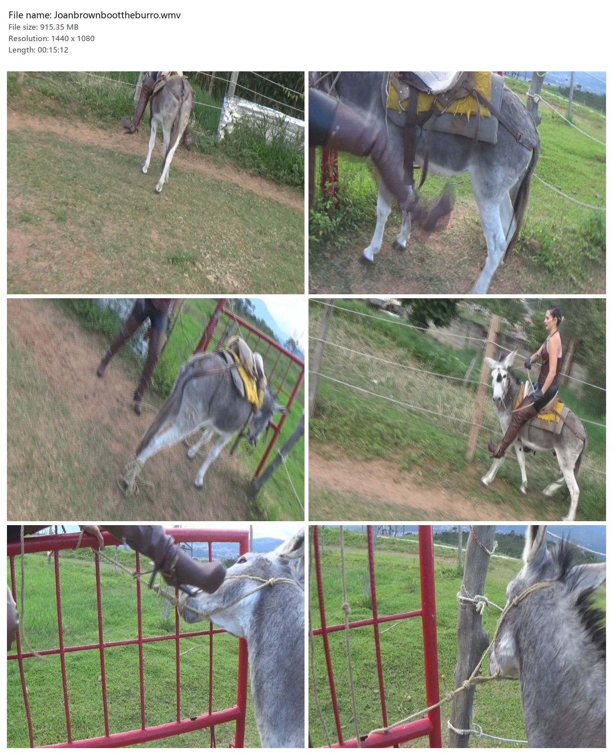 Joanbrownboottheburro.wmv_2x3.jpg