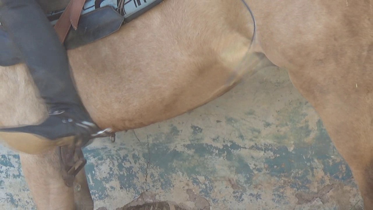 LeatherRidingGoddessMajestyJoanna.wmv_random_01.jpg