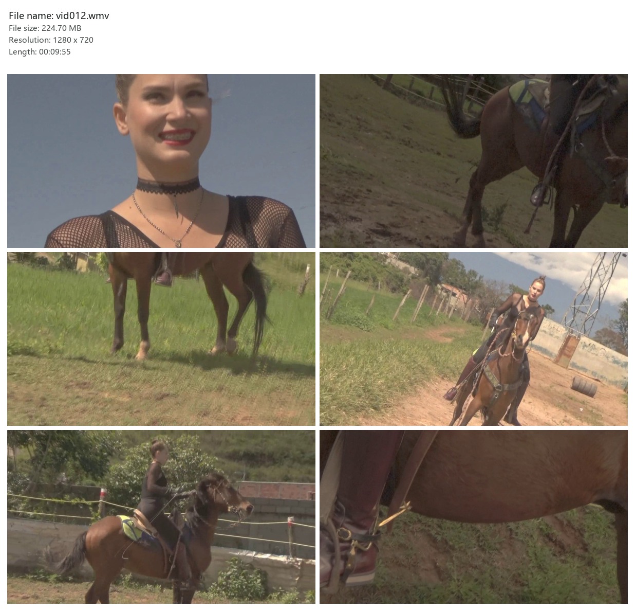 vid012.wmv_2x3.jpg