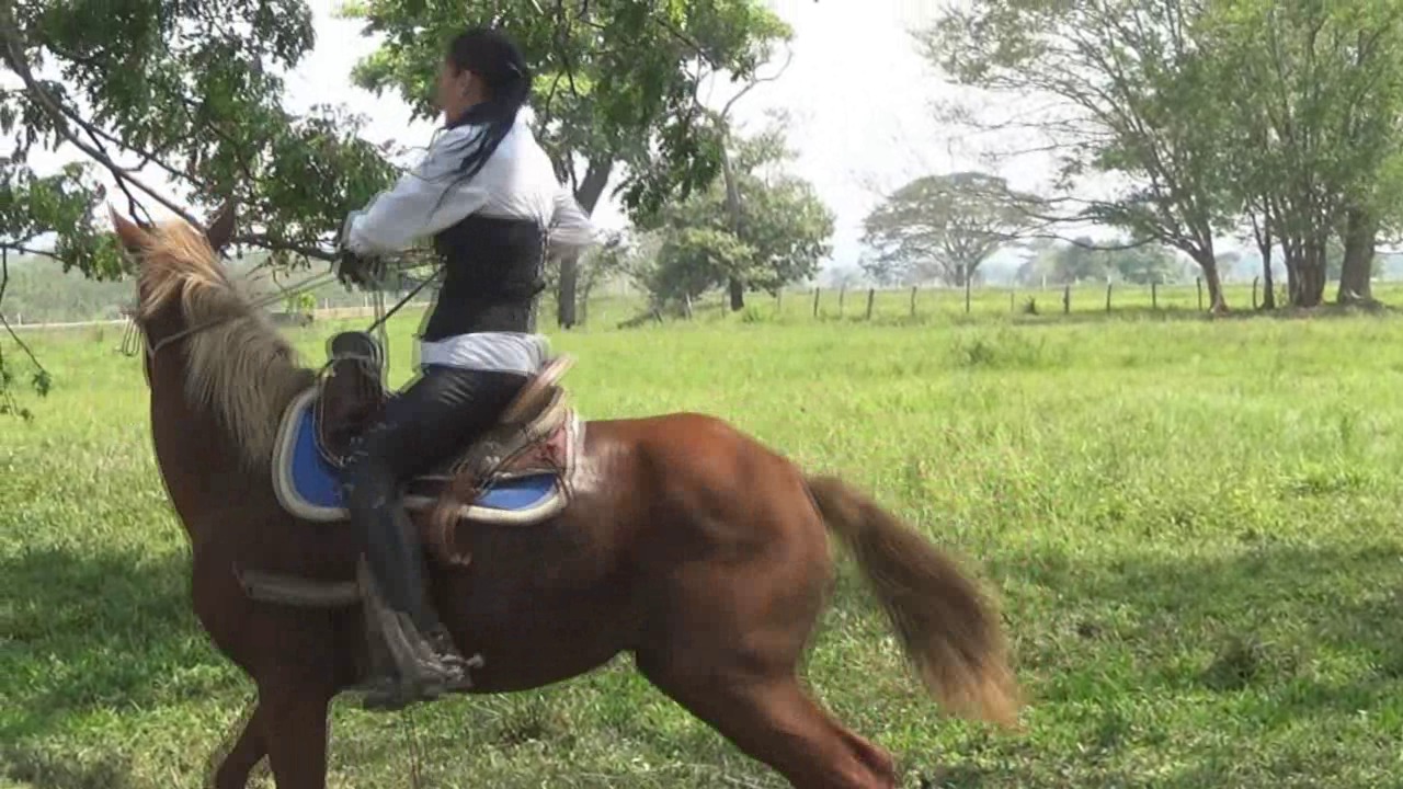 CL39751_ Georgina RedWipAndStarsForElRubio.wmv_random_01.jpg