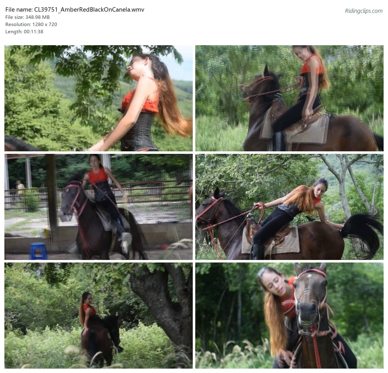 CL39751_AmberRedBlackOnCanela.wmv_2x3.jpg