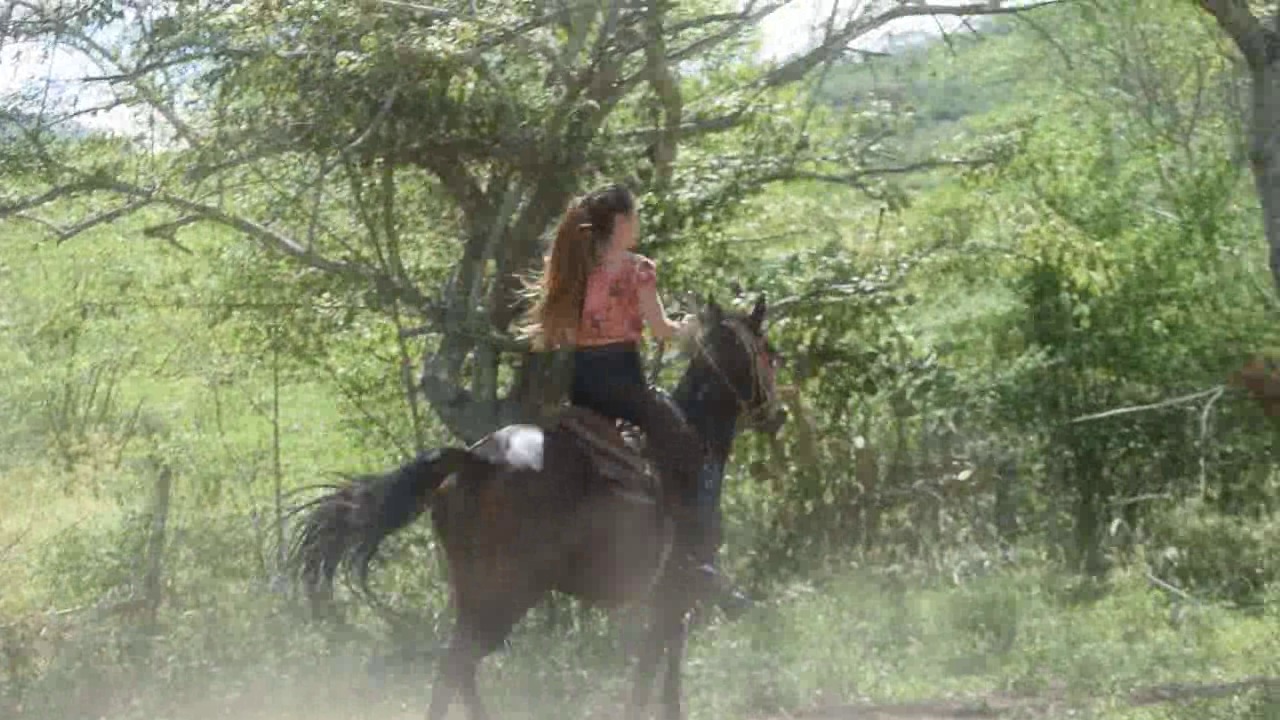 CL39751_AmberVsCanelaVillariba.wmv_random_01.jpg