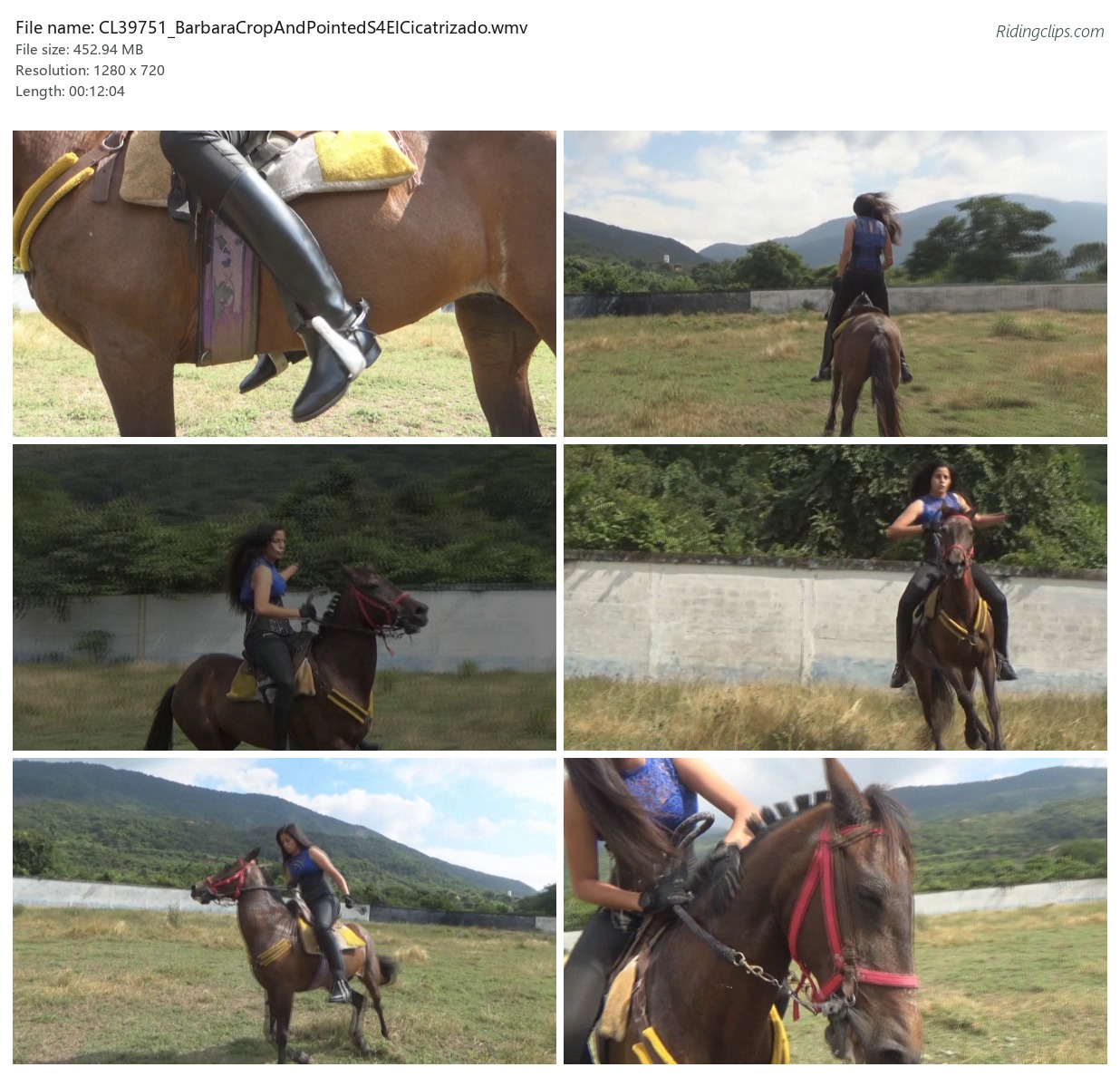 CL39751_BarbaraCropAndPointedS4ElCicatrizado.wmv_2x3.jpg