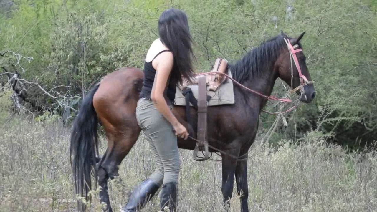 CL39751_BarbaraKnockingOnCanela.wmv_random_01.jpg