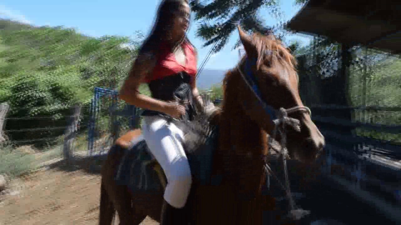 CL39751_BarbaraOnZorrinaSpinRound3.wmv_random_01.jpg