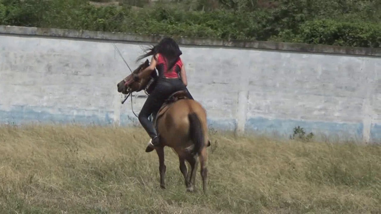 CL39751 BarbarasAngryStars4Comida.wmv