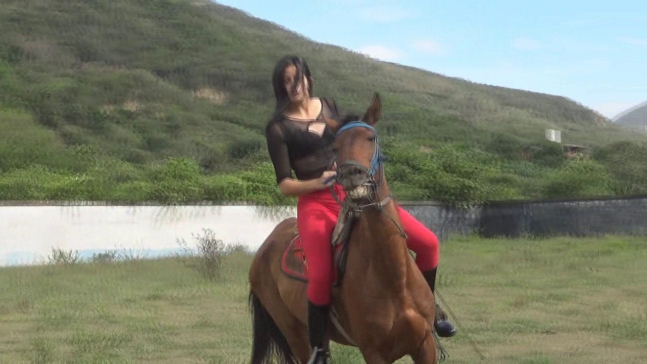 CL39751_BarbarasDevilStarsAndShortReins.wmv_random_01.jpg