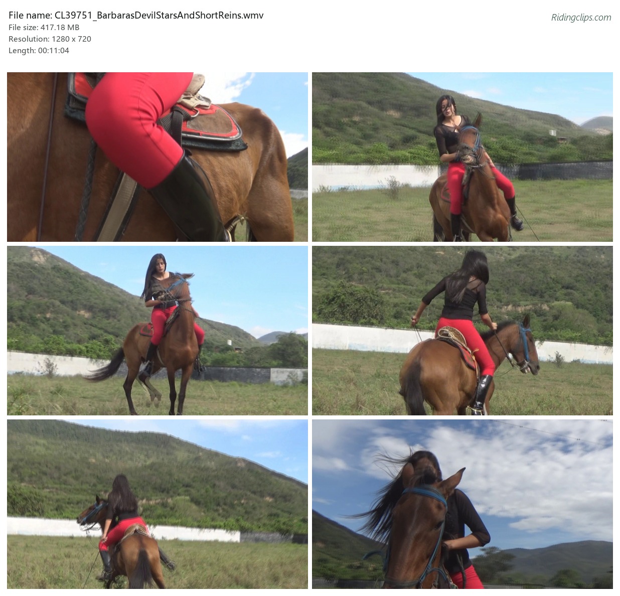 CL39751_BarbarasDevilStarsAndShortReins.wmv_2x3.jpg