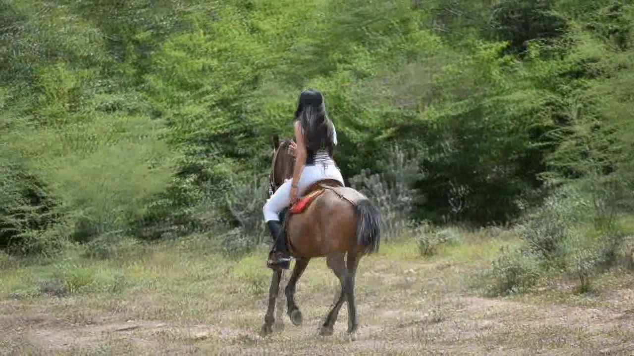 CL39751_BarbaraVsPicadorLesson2.wmv_random_01.jpg