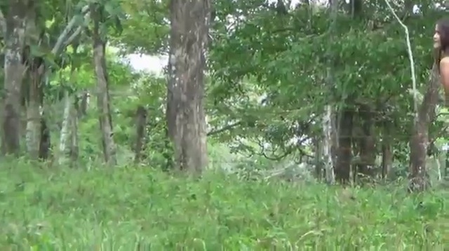 CL39751_DOUBLE RIDE DONKEY.mp4_random_01.jpg