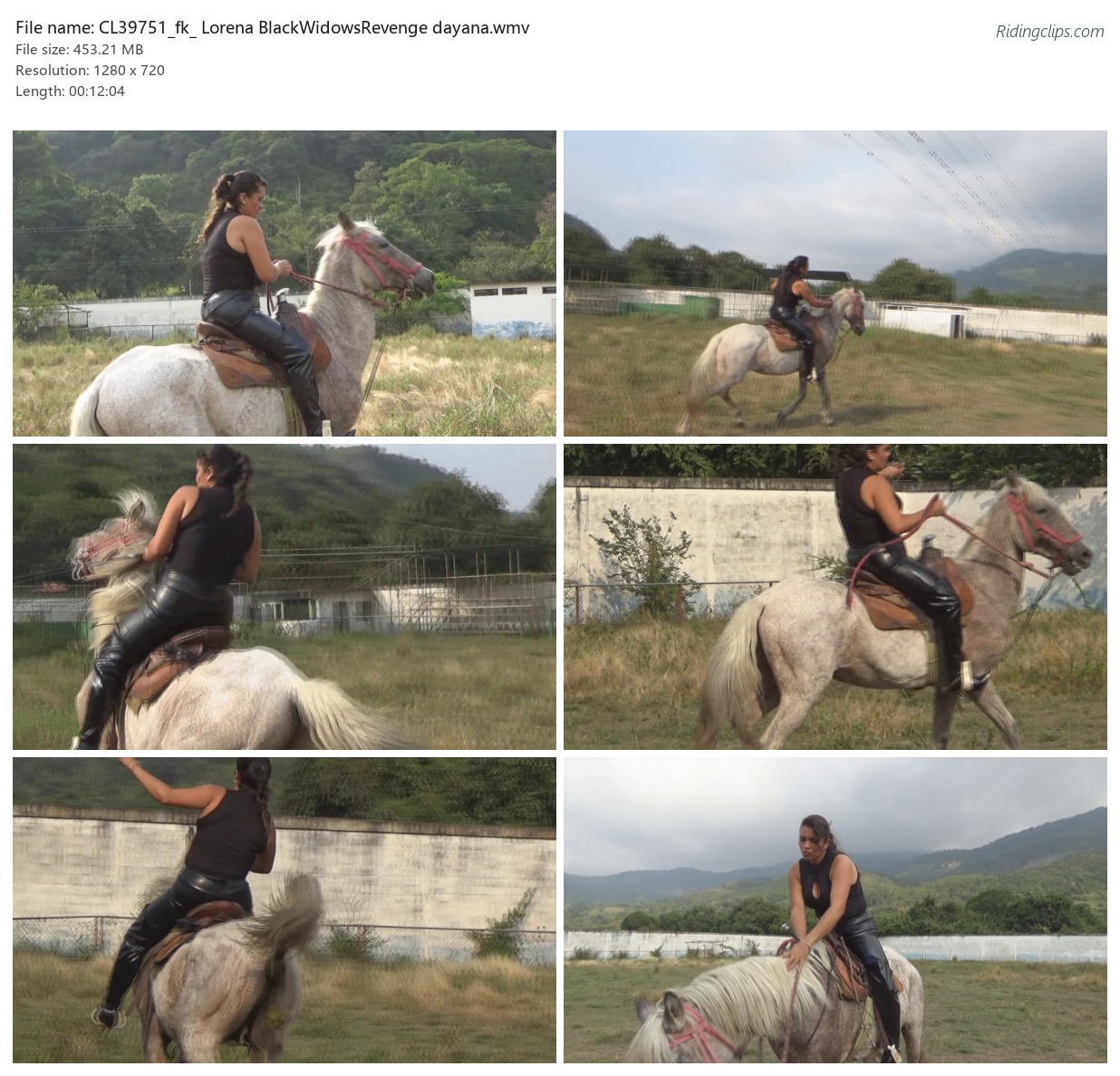CL39751_fk_ Lorena BlackWidowsRevenge dayana.wmv_2x3.jpg
