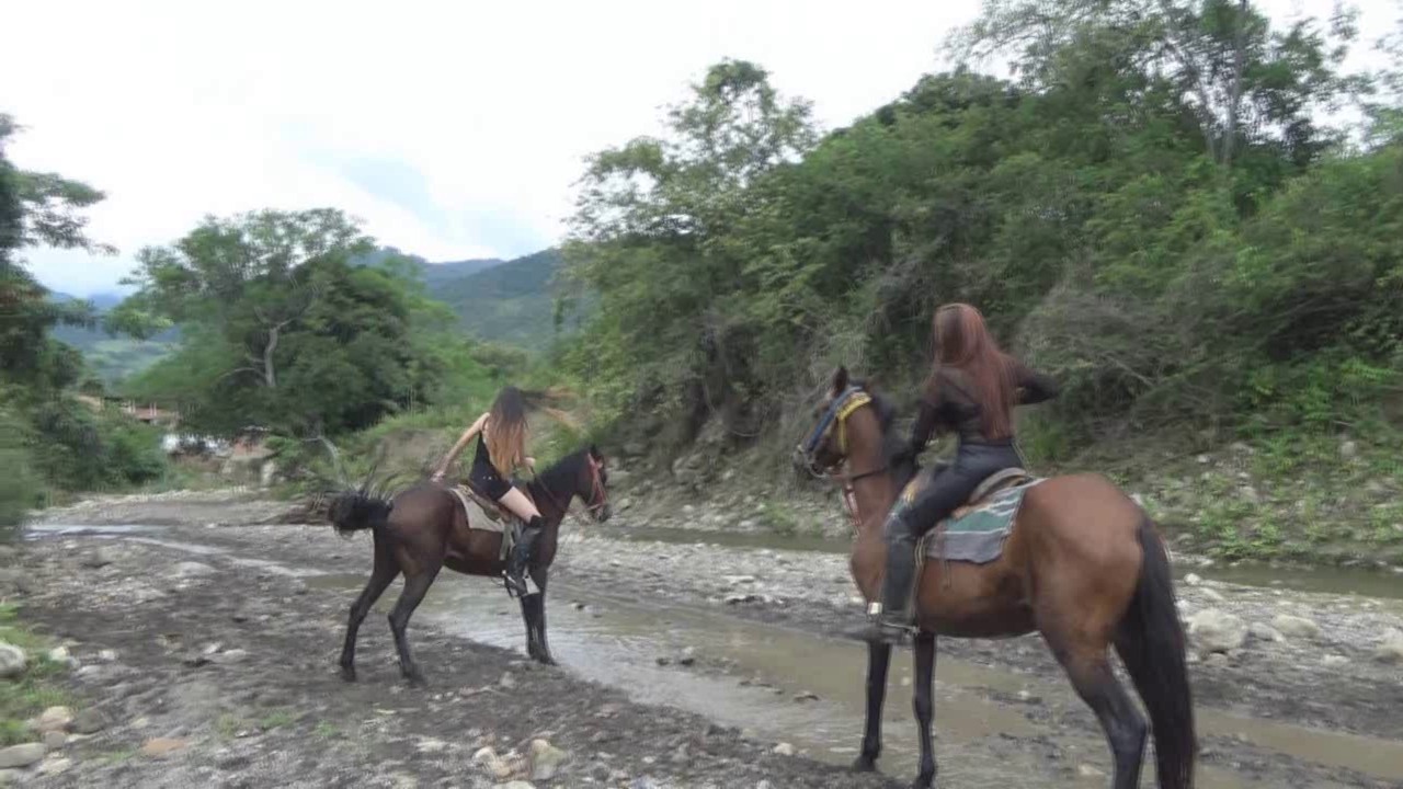 CL39751_GallopingTrioInTheCreek.wmv_random_01.jpg