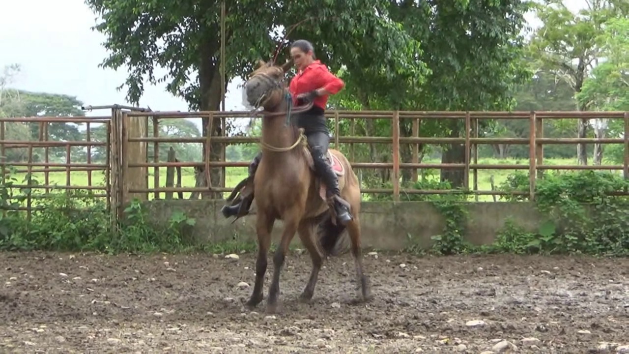 CL39751_GeorginaRedDevilRide.mp4_random_01.jpg