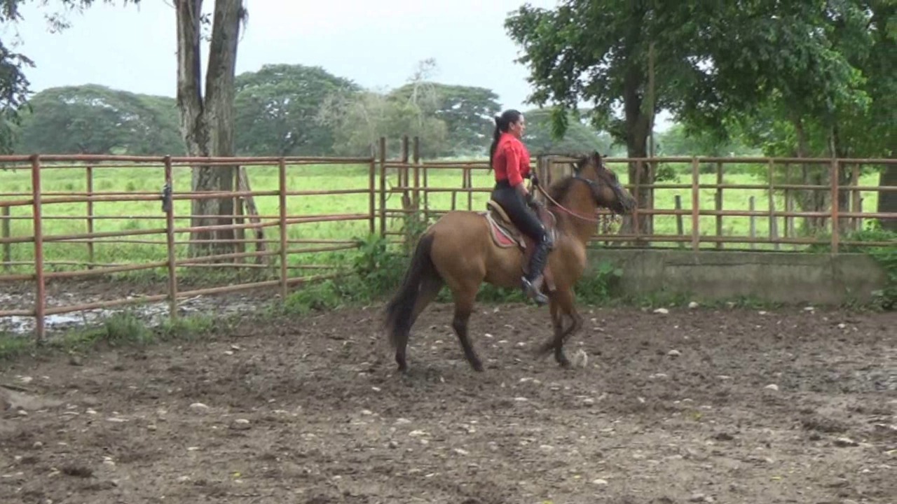 CL39751_GeorginaRedDevilRide.wmv_random_01.jpg