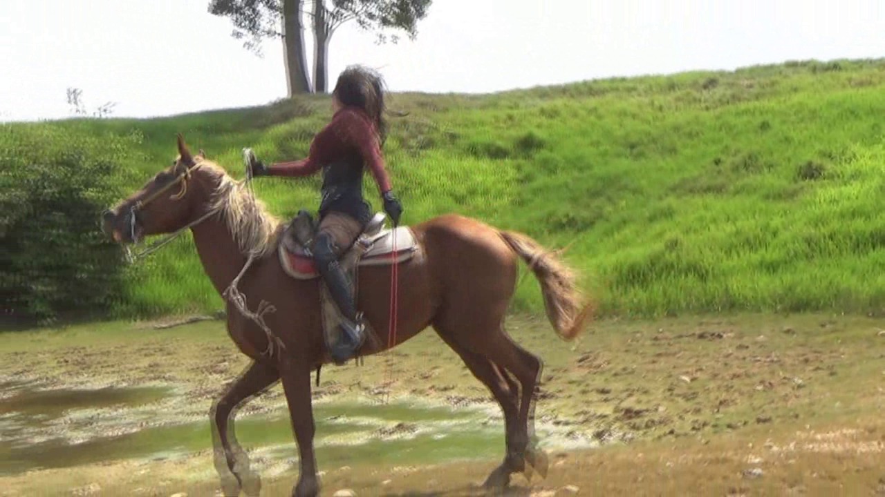 CL39751_GoddessDayanaWorkingStabelslave.wmv_random_01.jpg