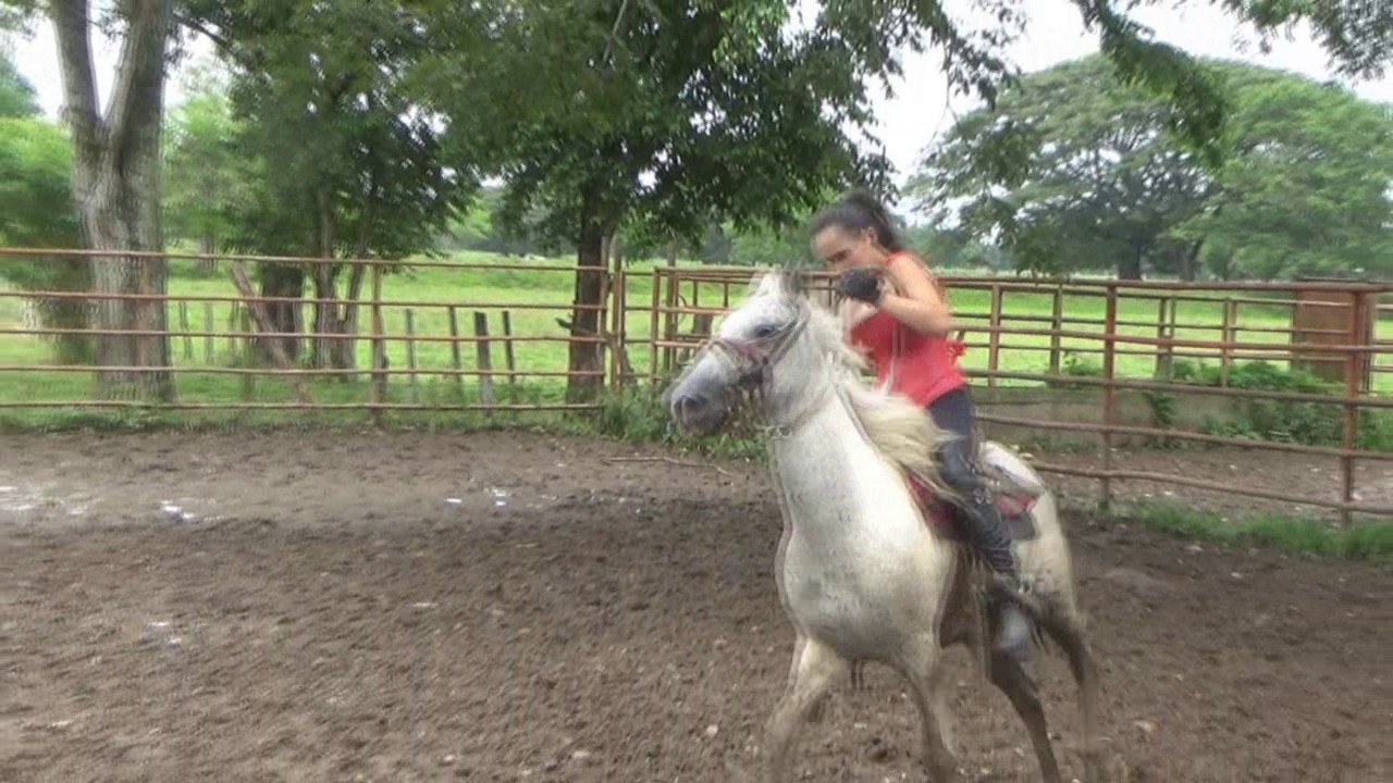 CL39751 IsabellaRedBoobsCage.wmv