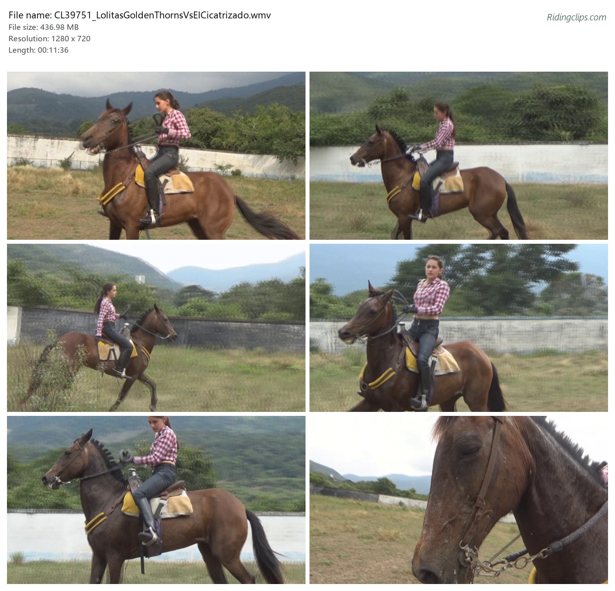 CL39751_LolitasGoldenThornsVsElCicatrizado.wmv_2x3.jpg