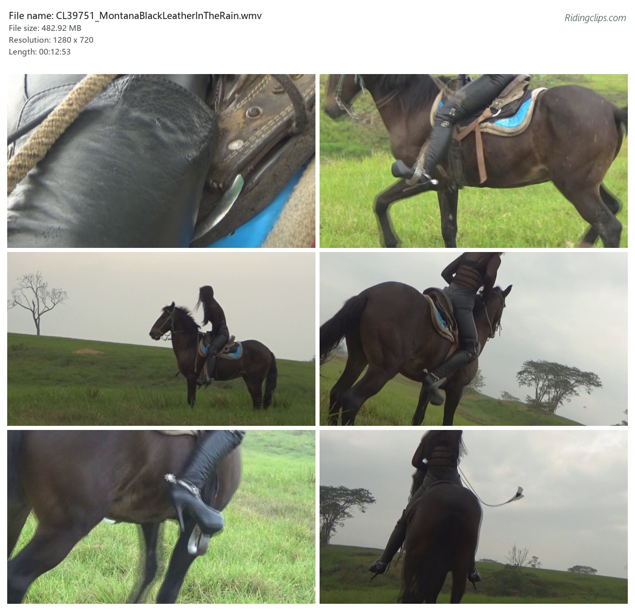 CL39751_MontanaBlackLeatherInTheRain.wmv_2x3.jpg
