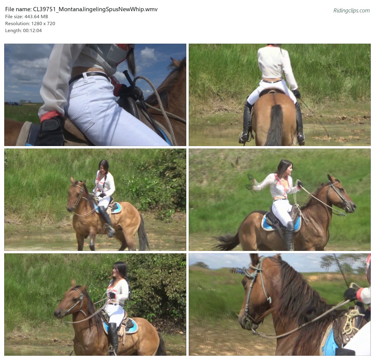 CL39751_MontanaJingelingSpusNewWhip.wmv_2x3.jpg