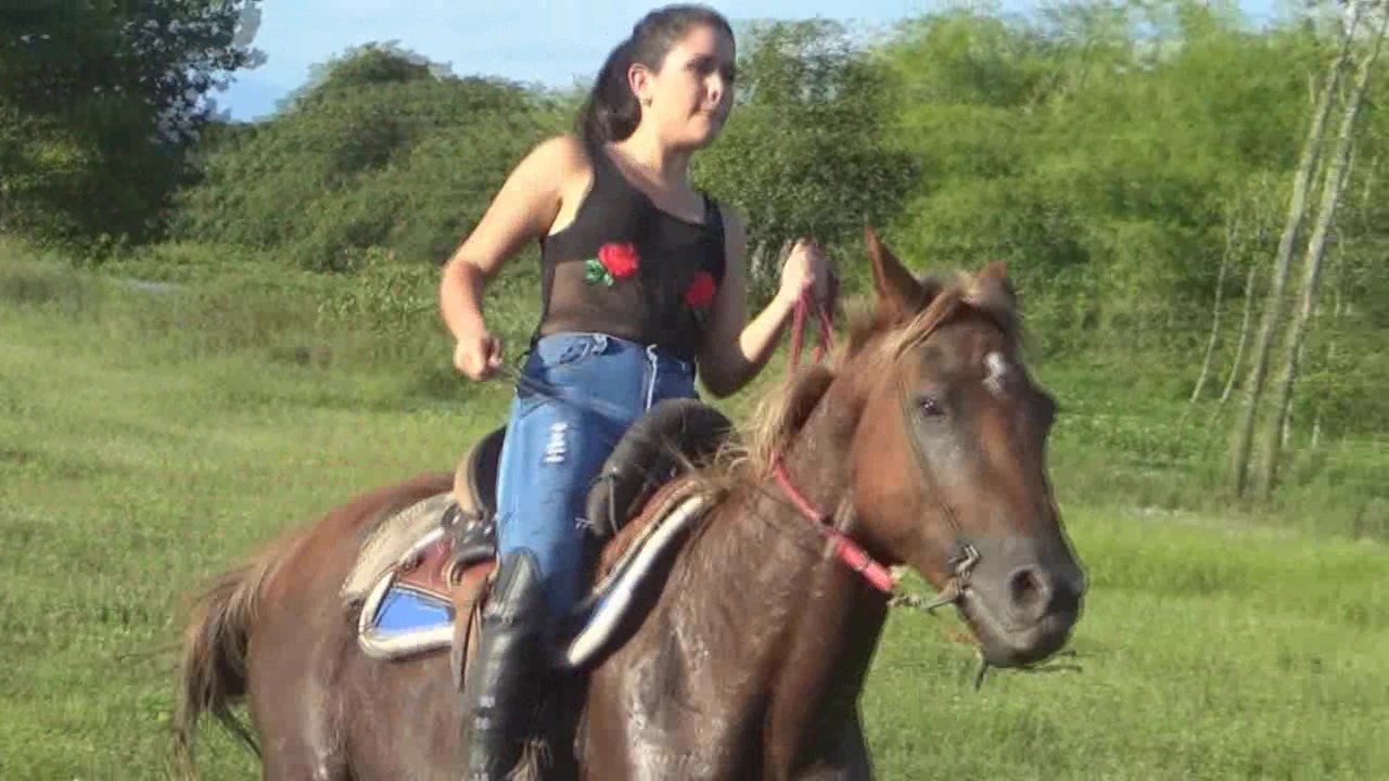 CL39751_MontanaMudFightOnElRubio.wmv_random_01.jpg