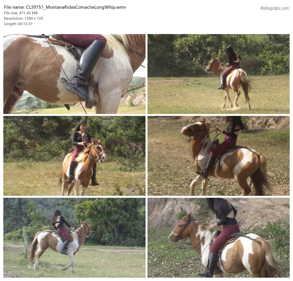 CL39751_MontanaRidesComacheLongWhip.wmv_2x3.jpg