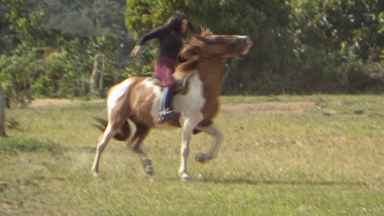 CL39751_MontanaRidesComacheLongWhip.wmv_random_01.jpg