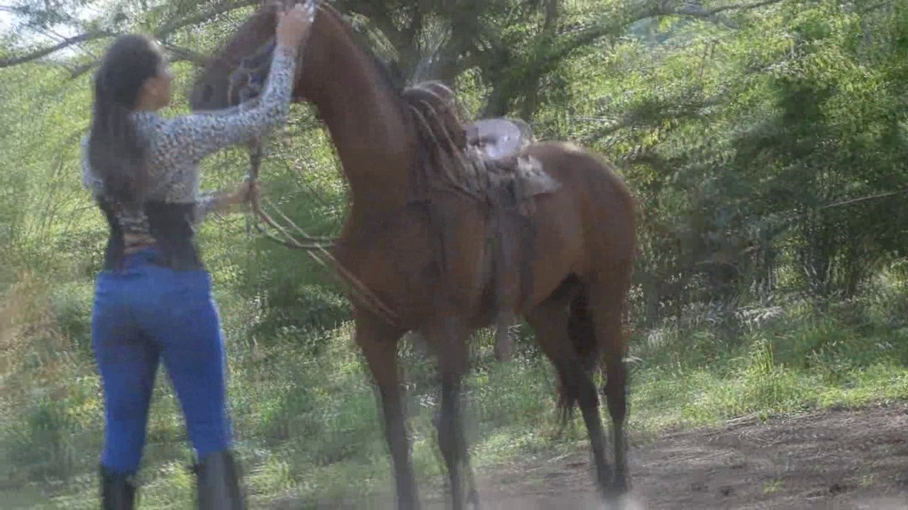 CL39751 NathaliaNextLevelGoldenThorns.wmv