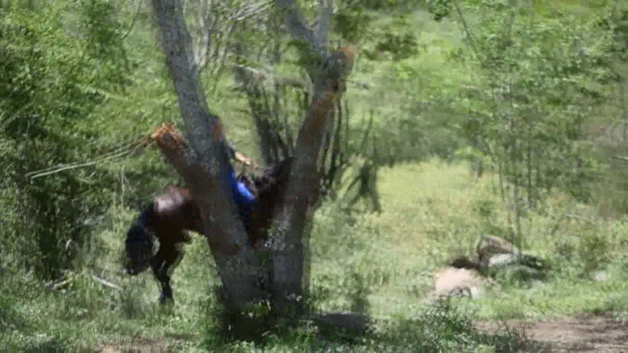 CL39751_NathaliaStormyRide.wmv_random_01.jpg