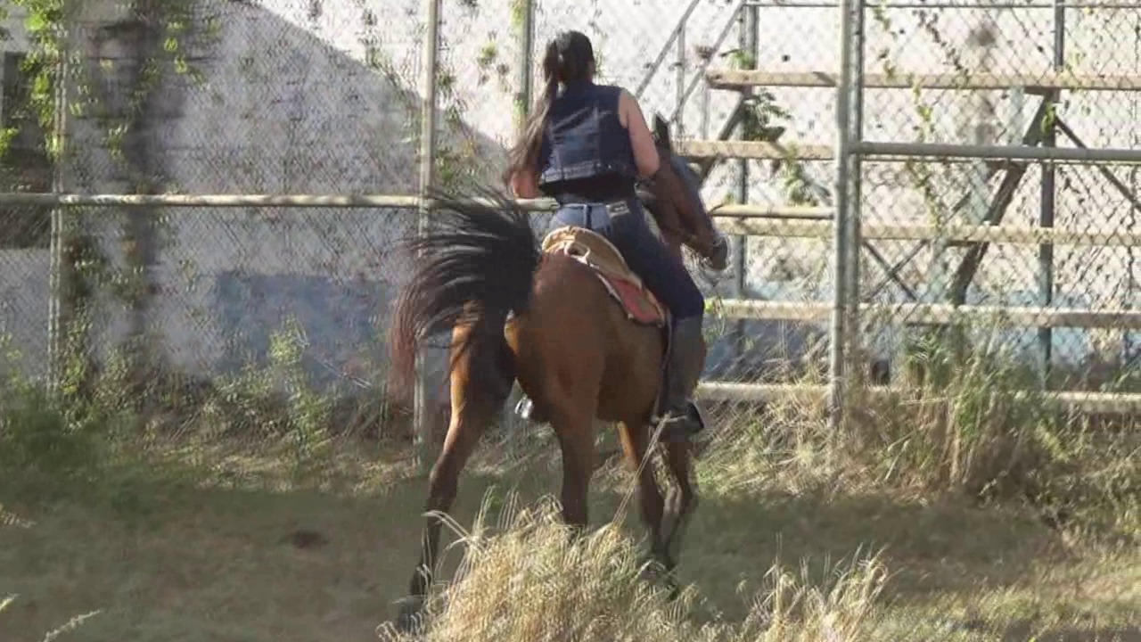 CL39751_RominaApplicationRide.wmv_random_01.jpg