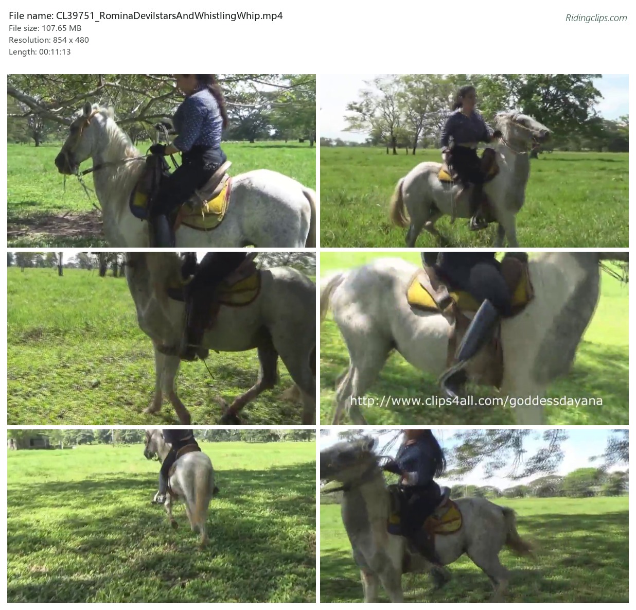 CL39751_RominaDevilstarsAndWhistlingWhip.mp4_2x3.jpg