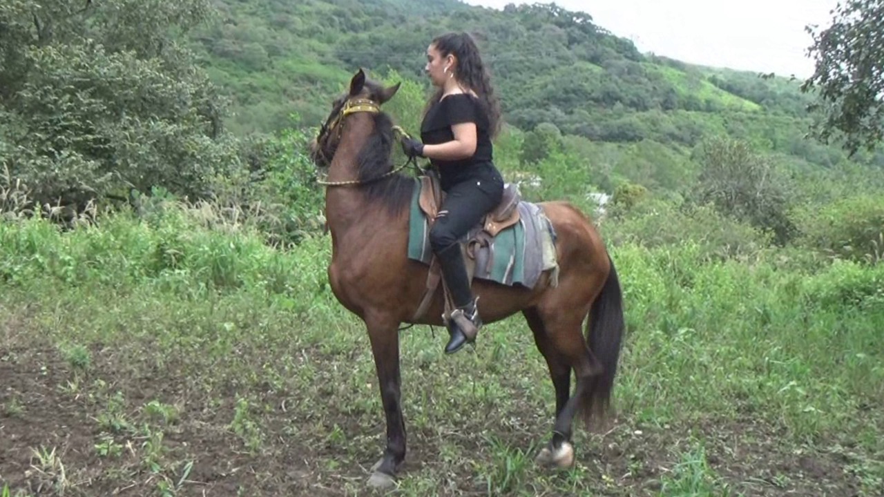CL39751_RominasReturnInToTheSaddle.wmv_random_01.jpg