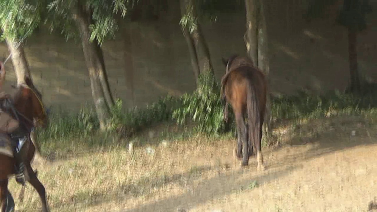 CL39751_SamanthaAndTheHorseDealer.wmv_random_01.jpg