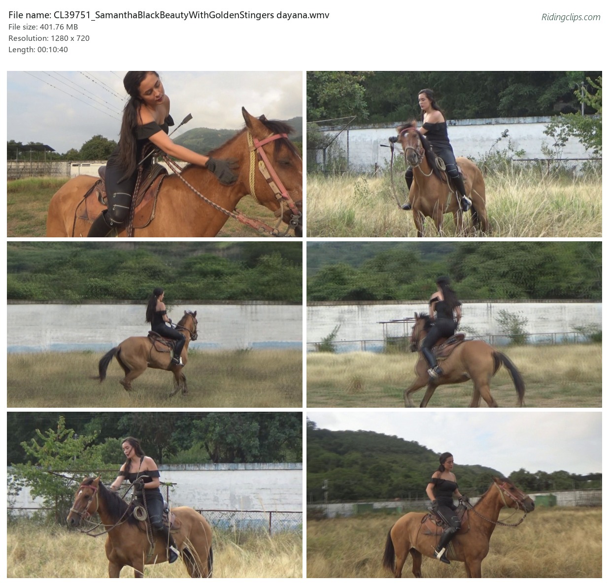 CL39751_SamanthaBlackBeautyWithGoldenStingers dayana.wmv_2x3.jpg