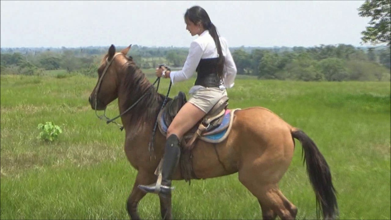 CL39751_TheAmazon Indiana T heCopInstructor.wmv_random_01.jpg