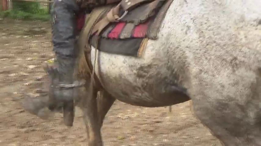 CL39751_TheAmazonIndianaSexyAndTheBeast.mp4_random_01.jpg