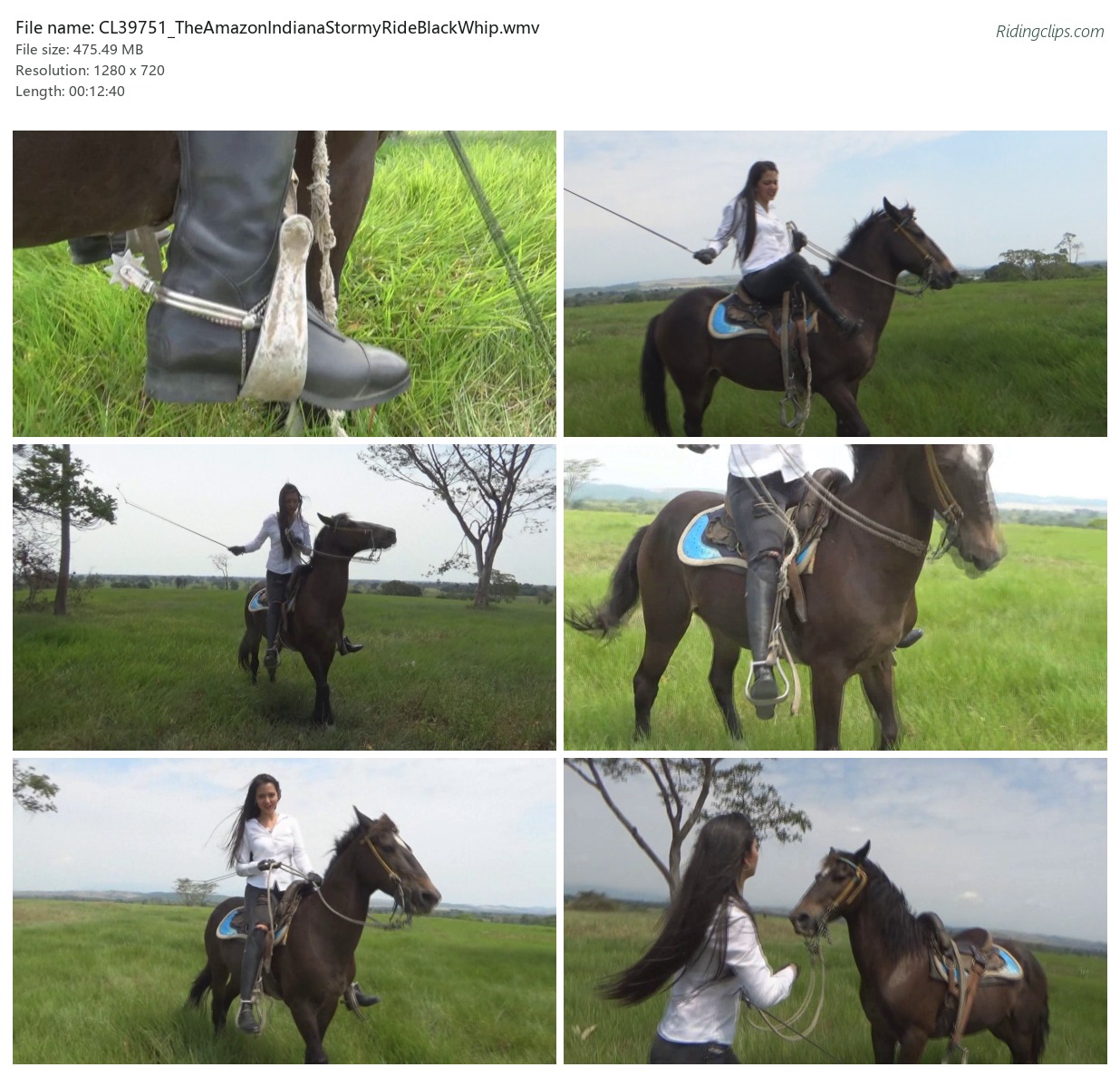 CL39751_TheAmazonIndianaStormyRideBlackWhip.wmv_2x3.jpg