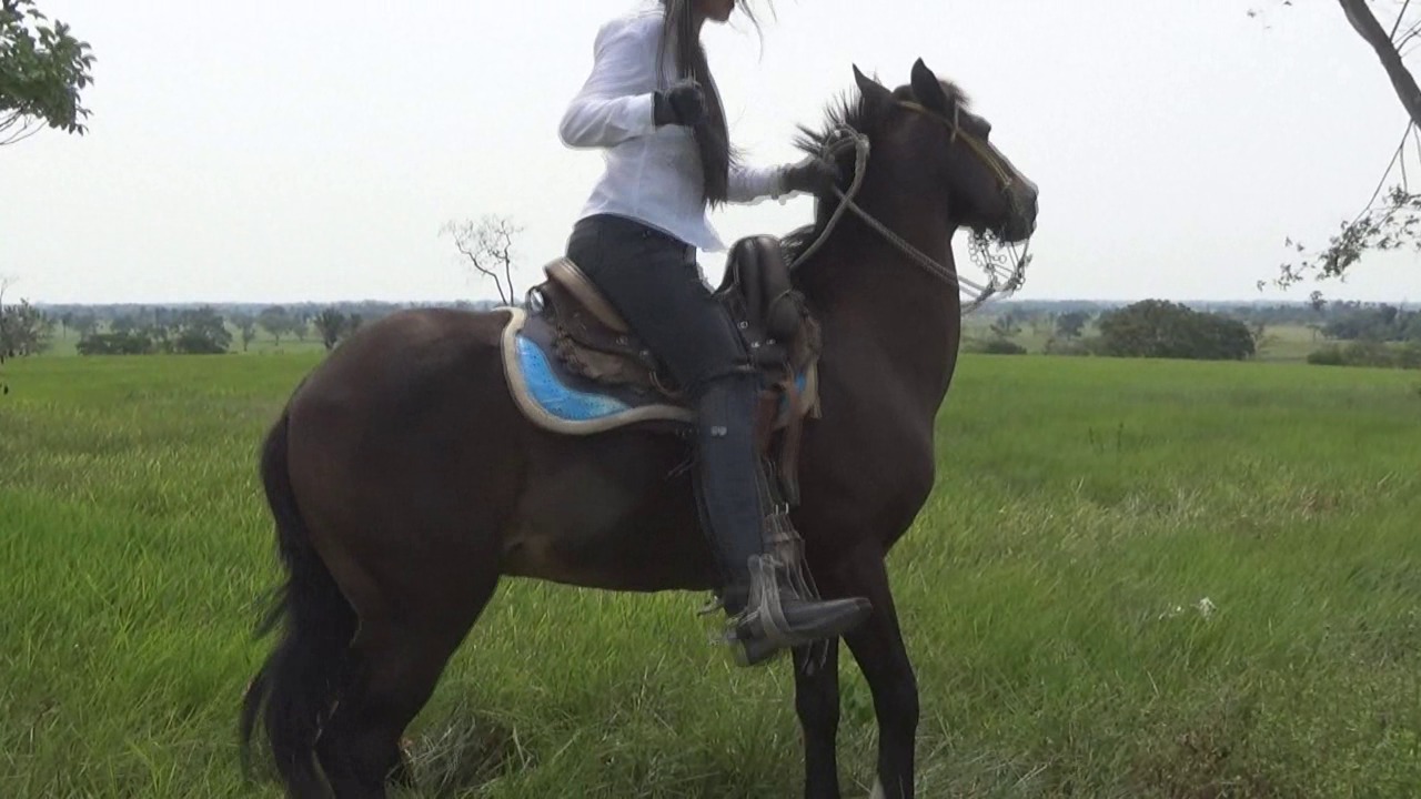 CL39751_TheAmazonIndianaStormyRideBlackWhip.wmv_random_01.jpg