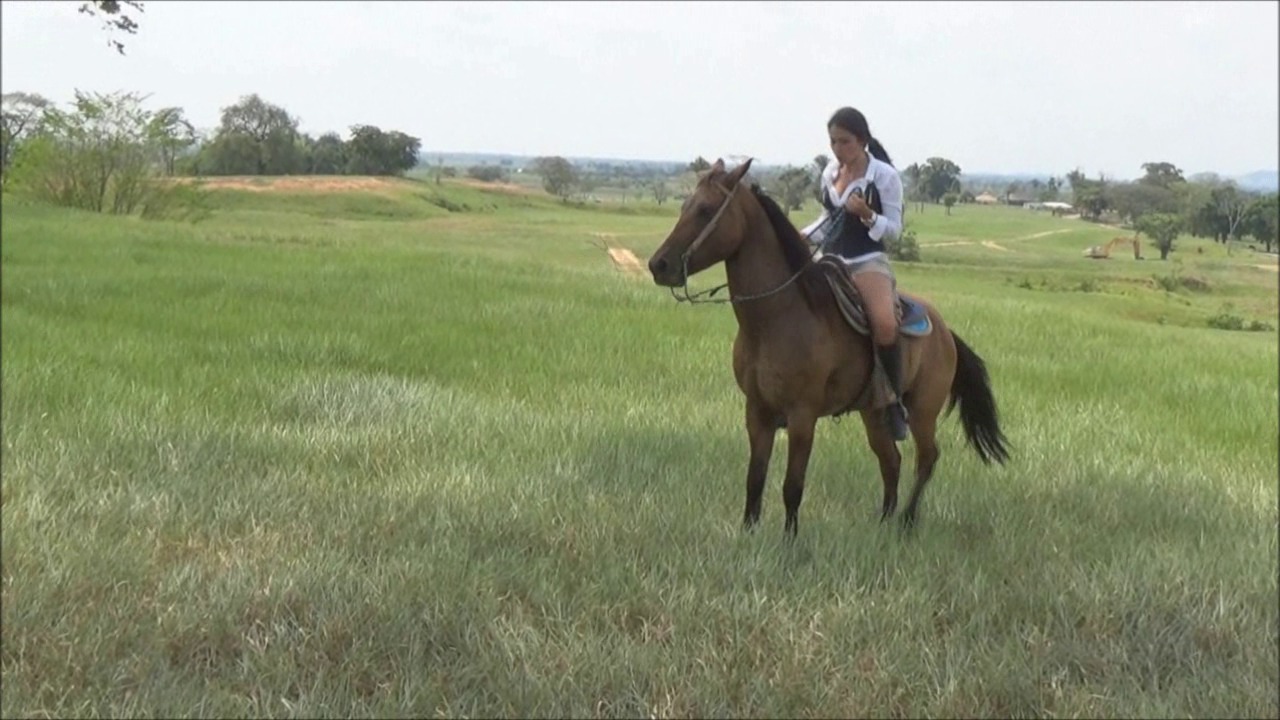 CL39751_TheAmazonIndianaTheCopInstructor.wmv_random_01.jpg