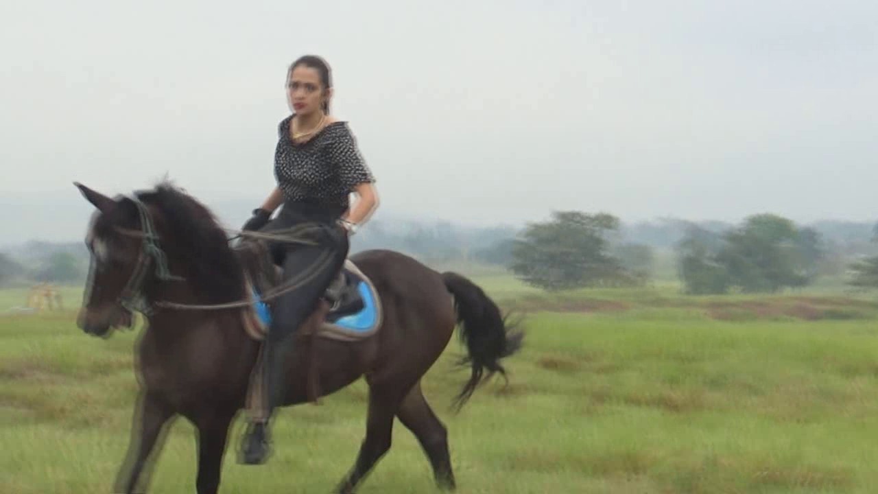 CL39751_TheAmazonIndianaTongueTwister1.wmv_random_01.jpg