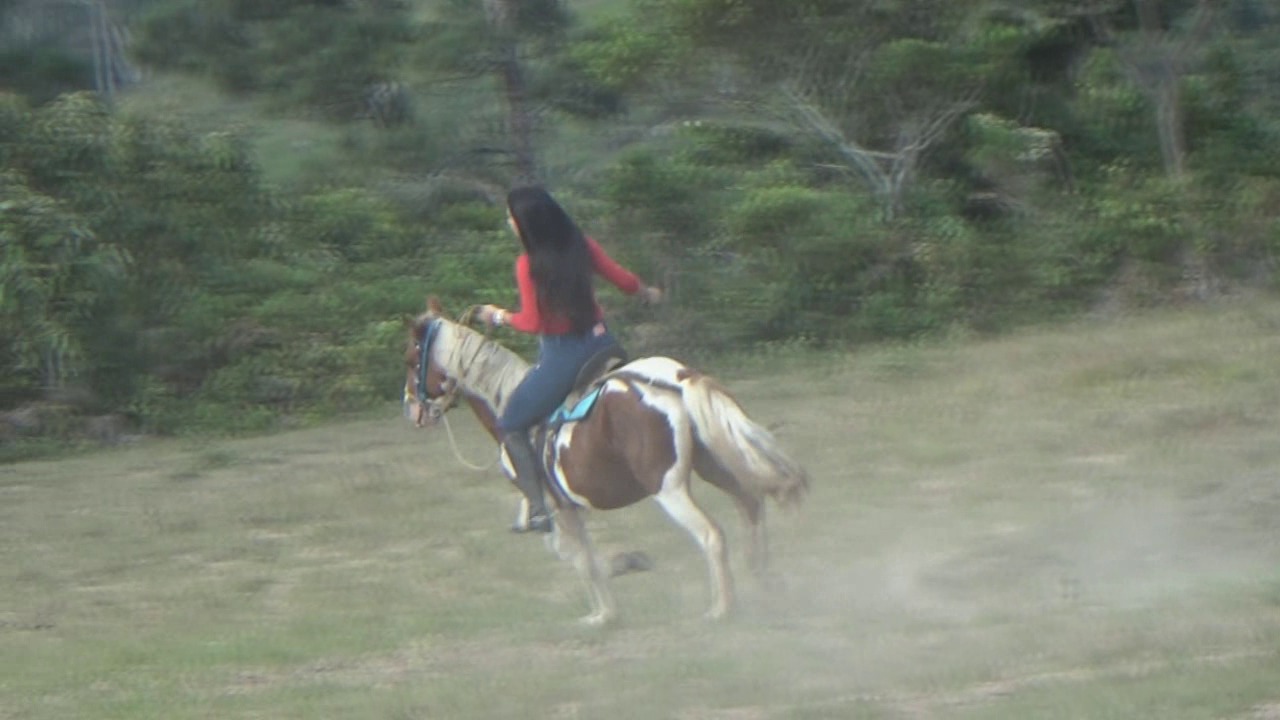 CL39751_TheAmazonIndianaWS4StuborneHidalgo.wmv_random_01.jpg