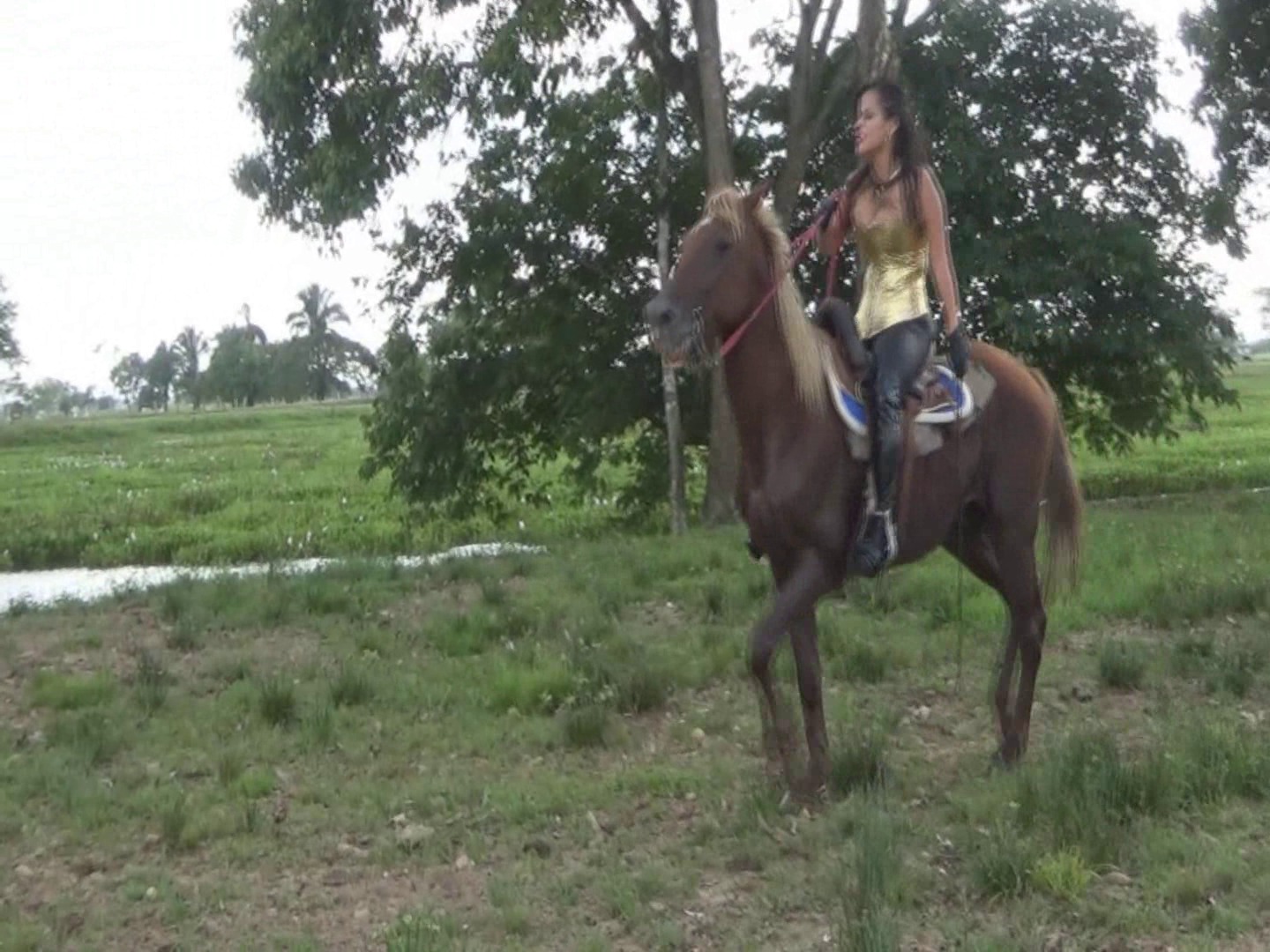 CL39751_TheGoddessDayanaAmazonRide.wmv_random_01.jpg