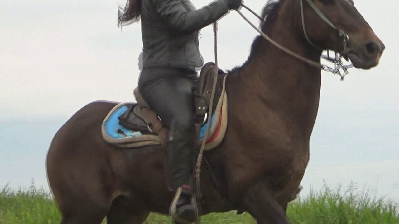 CL39751_TheGoddessDayanaBlackLeatherStarsUp.wmv_random_01.jpg