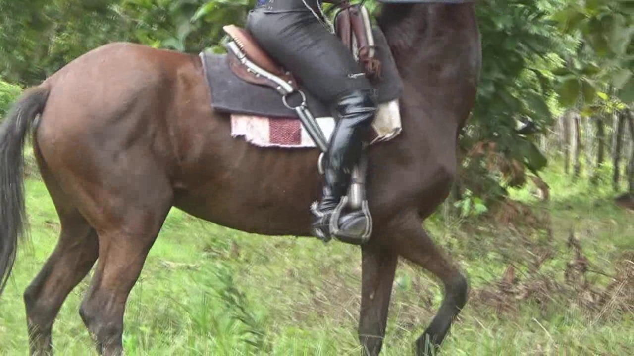 CL39751_TheGoddessDayanaBlueRideRound1.wmv_random_01.jpg