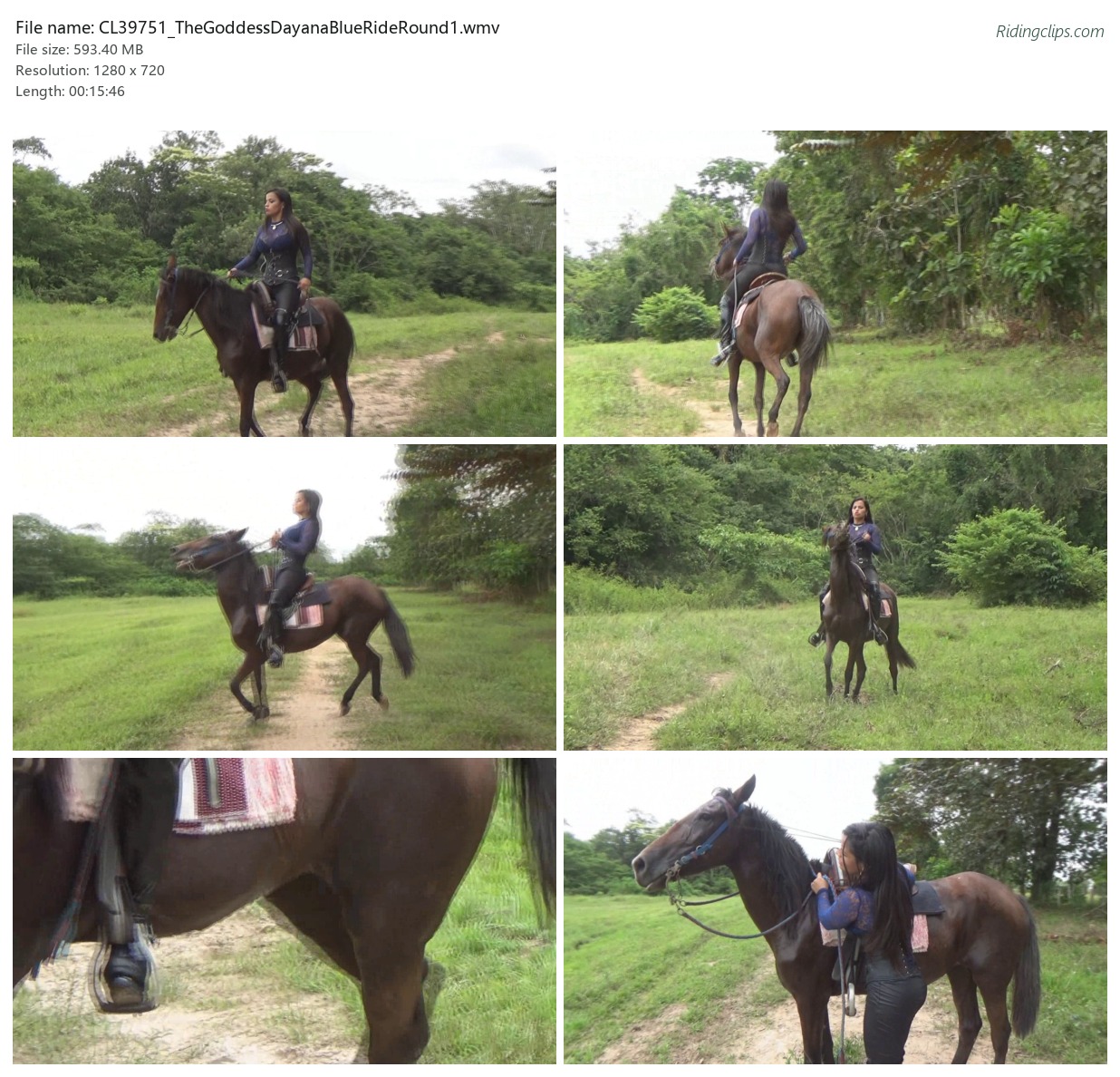 CL39751_TheGoddessDayanaBlueRideRound1.wmv_2x3.jpg