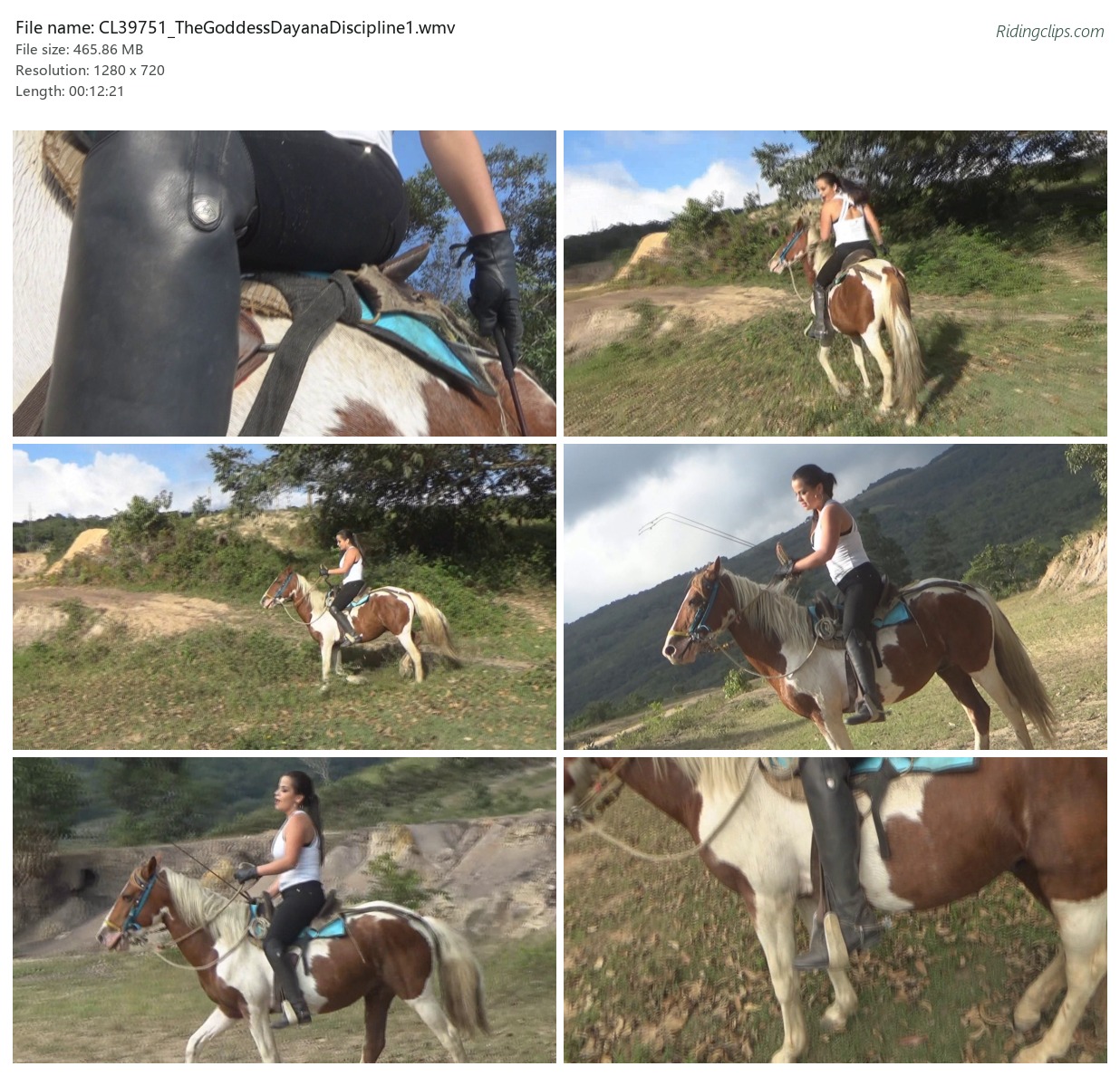 CL39751_TheGoddessDayanaDiscipline1.wmv_2x3.jpg