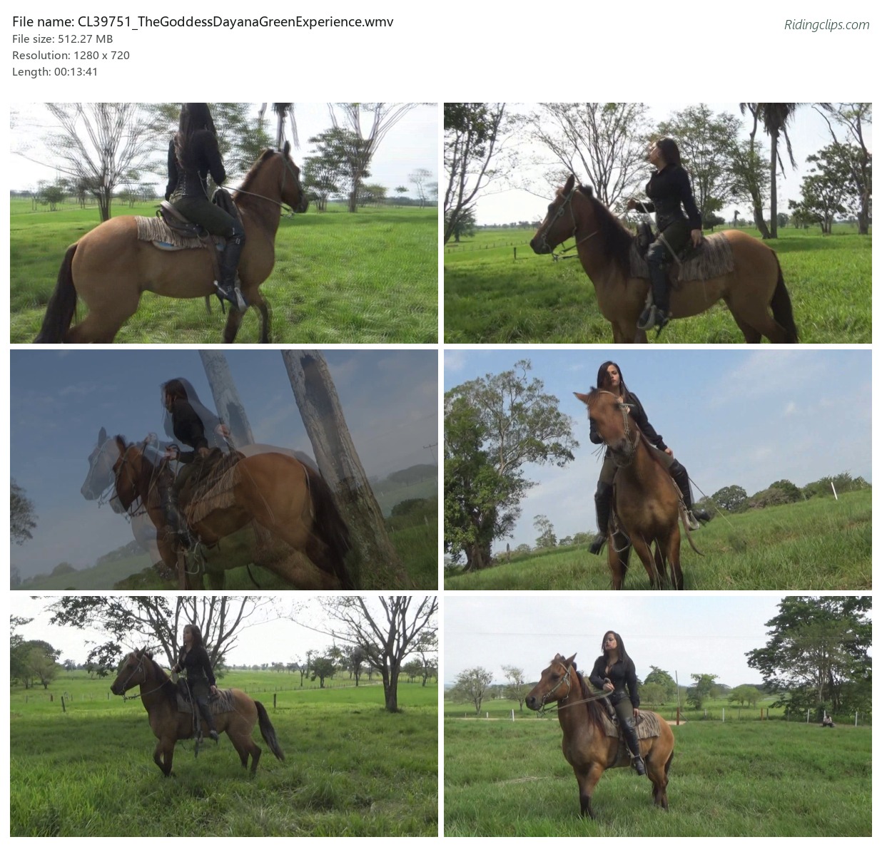CL39751_TheGoddessDayanaGreenExperience.wmv_2x3.jpg